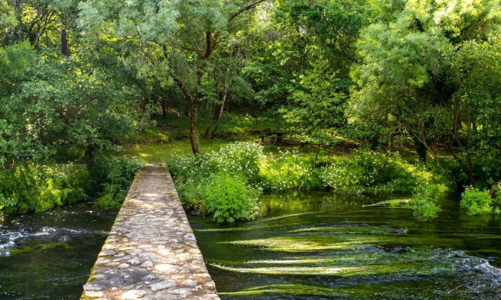 ADEGA, recoñecida a nivel estatal polo seu labor na custodia do río Arnego e a conservación do bosque autóctono