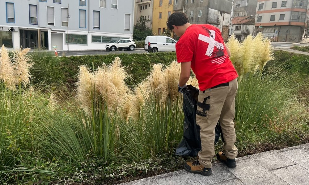 Galicia Ambiental intervén en Lalín e Silleda para evitar a dispersión de sementes de herba da Pampa