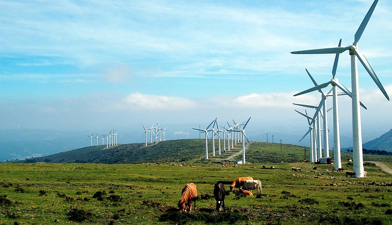 A LEY DE CAMBIO CLIMÁTICO VISTA DENDE LALÍN