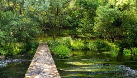 ADEGA, recoñecida a nivel estatal polo seu labor na custodia do río Arnego e a conservación do bosque autóctono